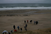 IMG_7465.JPG