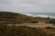 IMG_7497.JPG