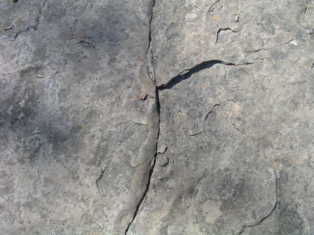 P1010012.JPG