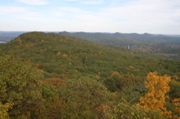 IMG_7300.JPG