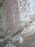 P1010009.JPG