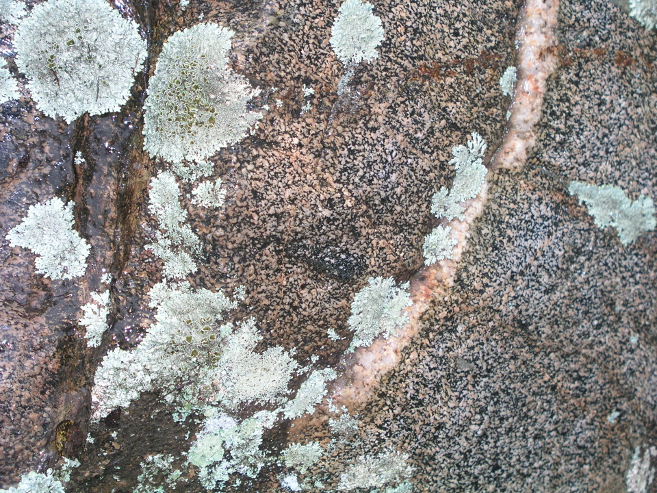 P1010005.JPG