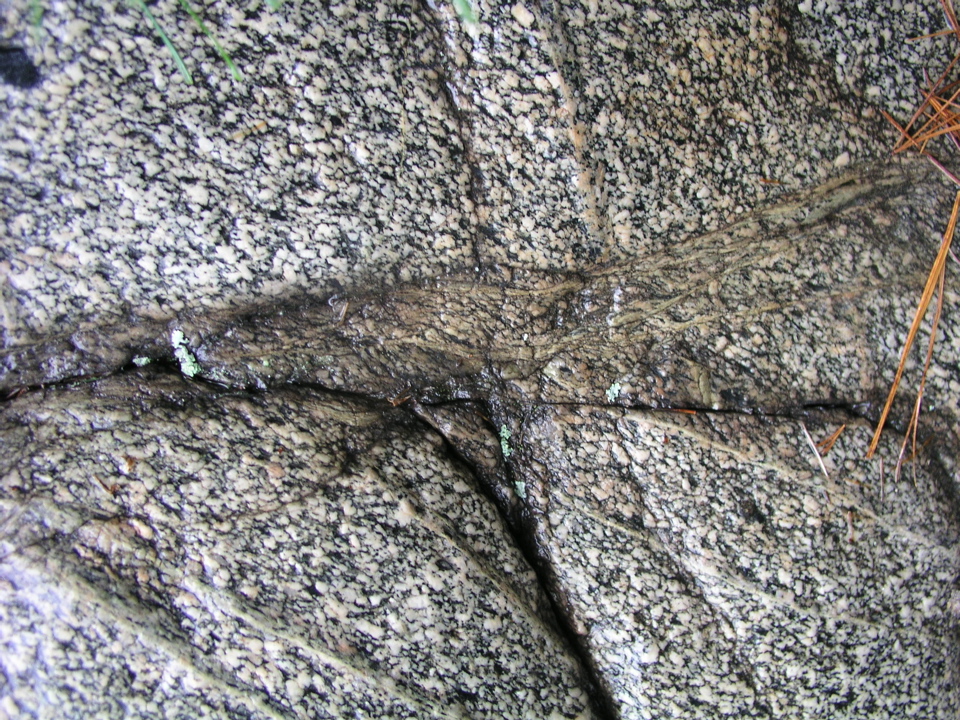 P1010010.JPG