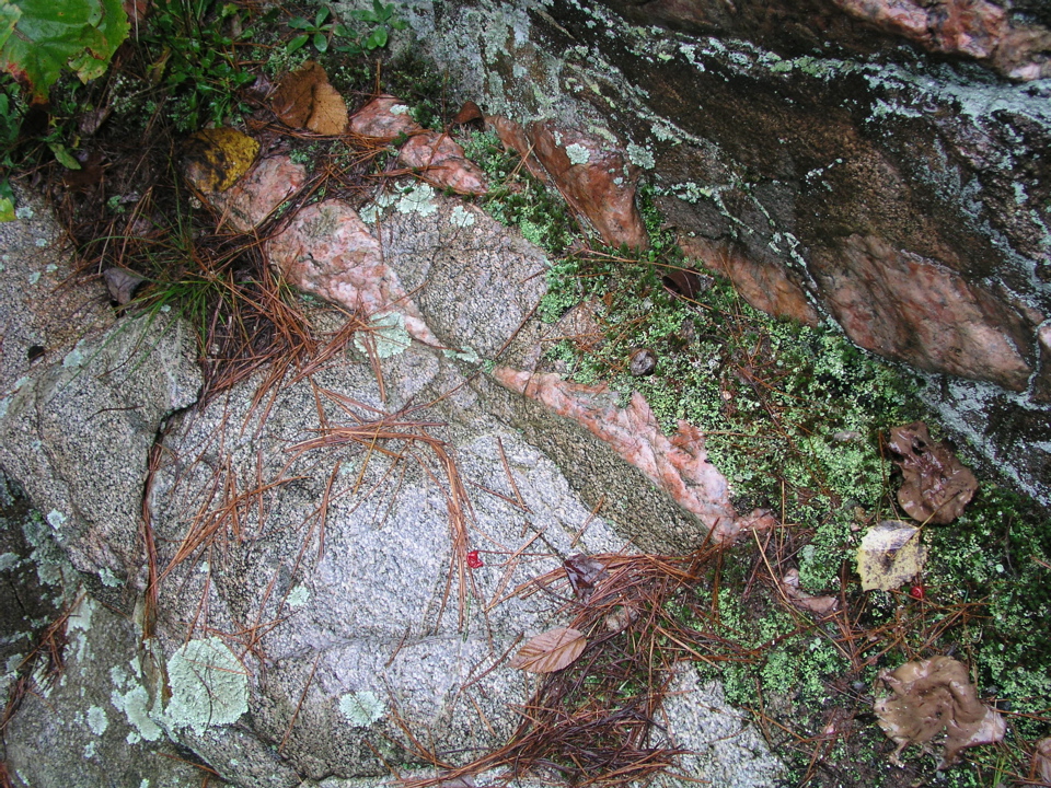 P1010013.JPG