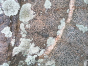 P1010005.JPG