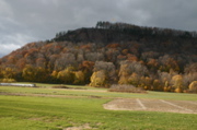 IMG_7884.JPG