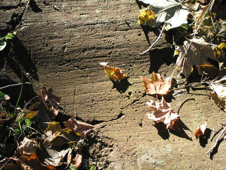 P1010022.JPG