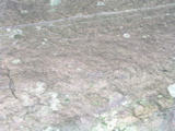 P1010008.JPG