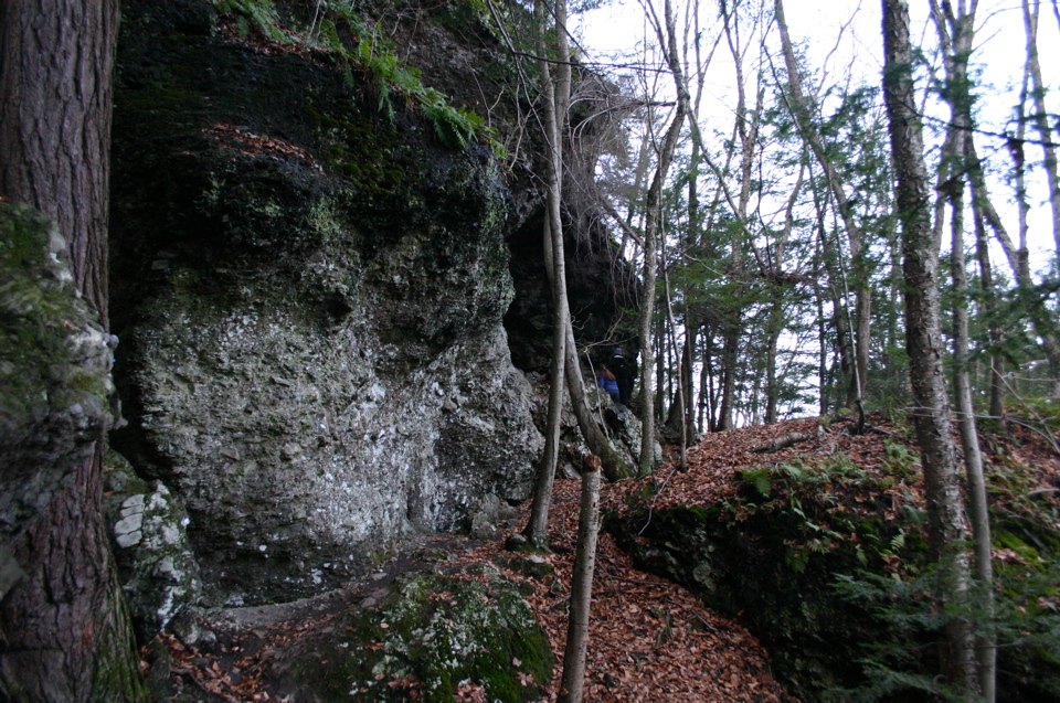 IMG_8022.JPG