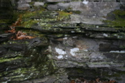 IMG_7986.JPG
