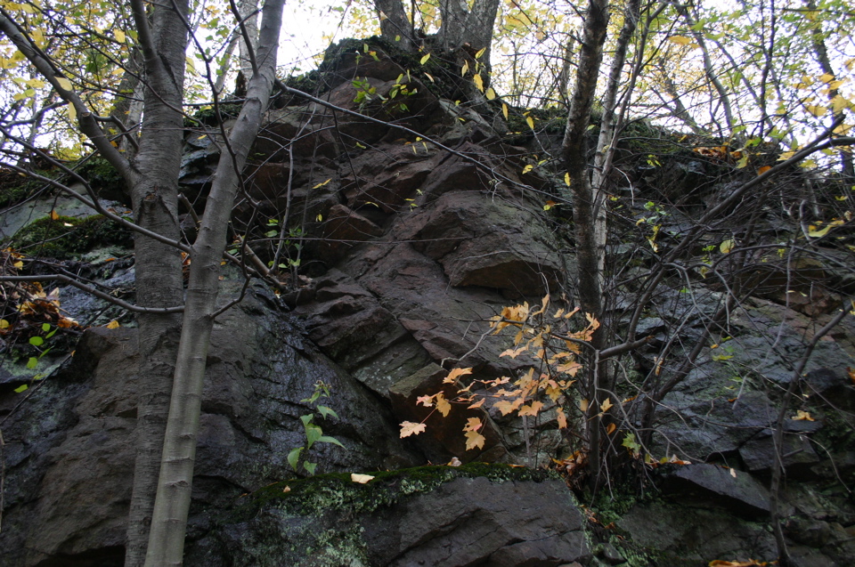 IMG_7410.JPG