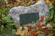 IMG_7402.JPG