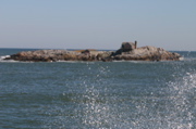 IMG_7563.JPG