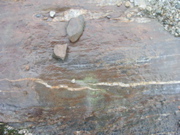 P1010007.JPG