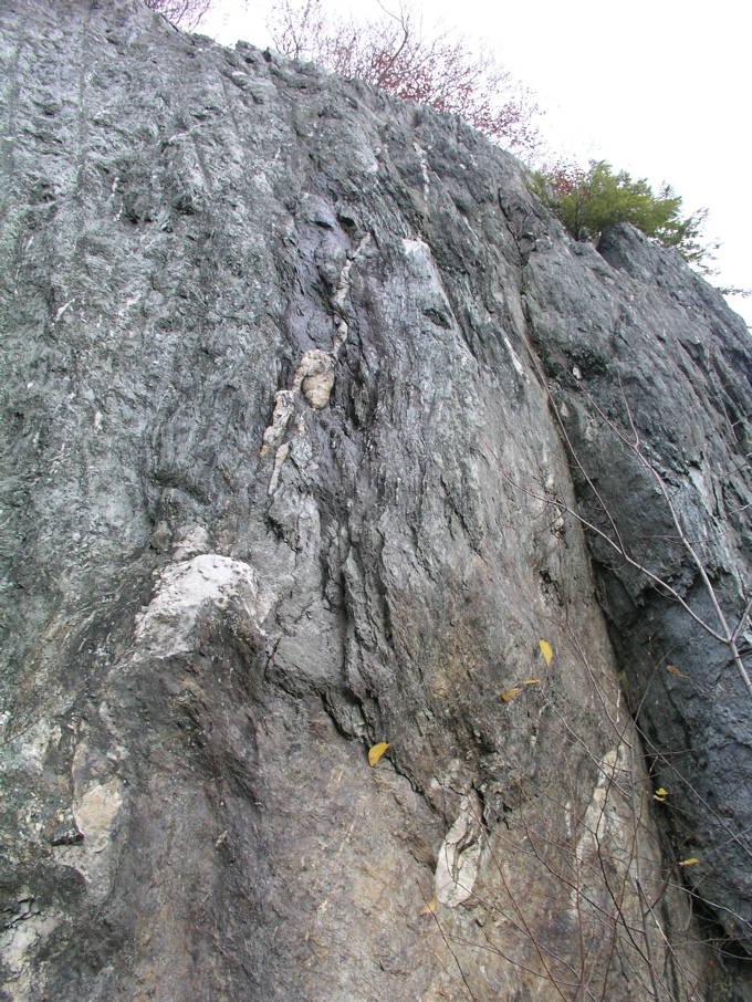 P1010163.JPG