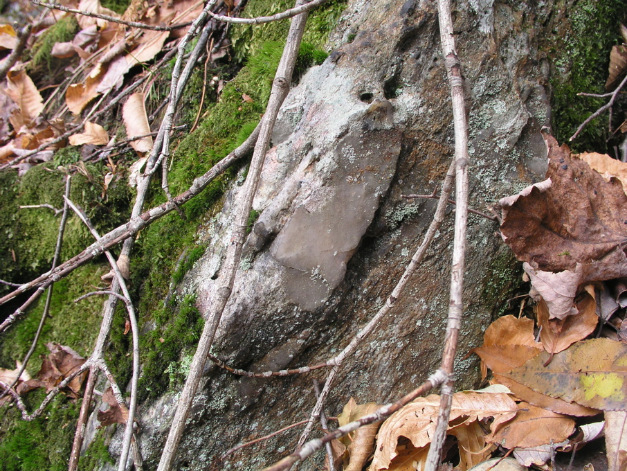 P1010070.JPG