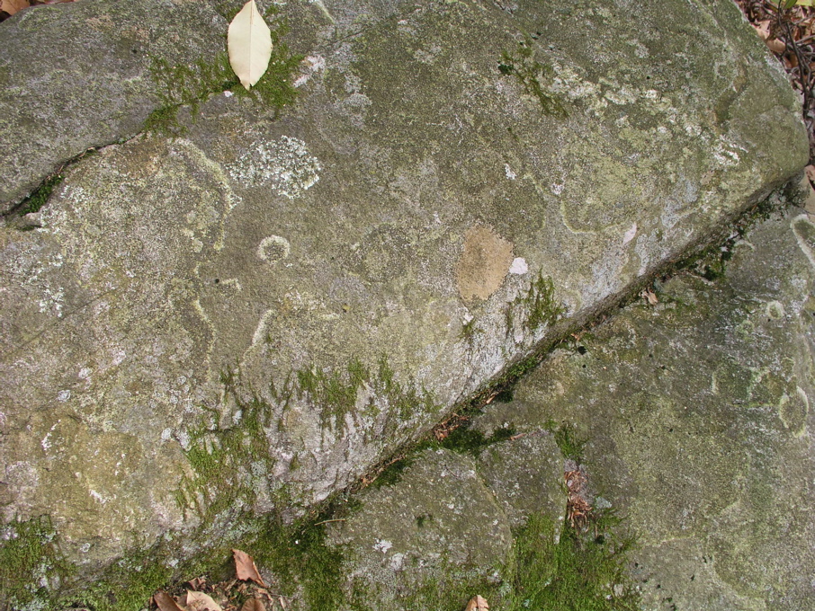 P1010083.JPG
