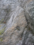 P1010178.JPG