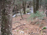 P1010029.JPG