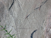 DSCN0535