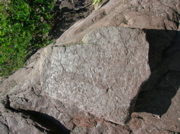 DSCN0580