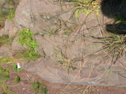 DSCN0582