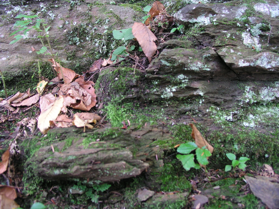 P1010035.JPG