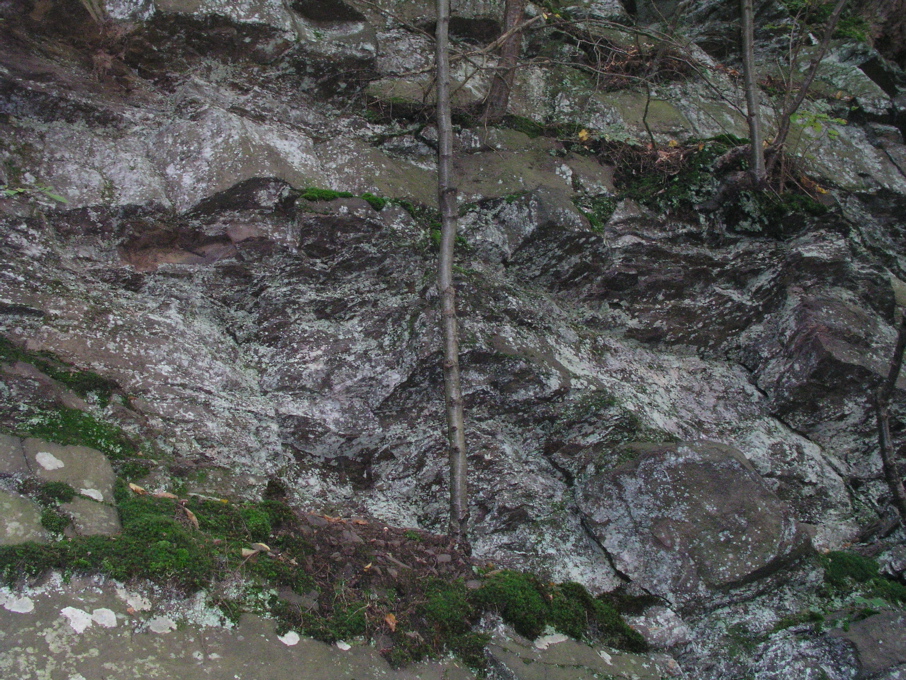 P1010038.JPG