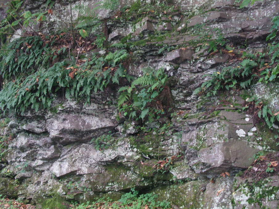 P1010039.JPG