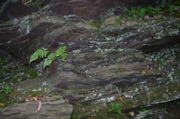 IMG_1000.JPG