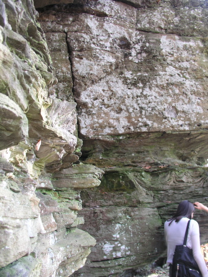 P1010033.JPG