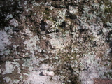 P1010002.JPG