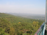 P1010009.JPG