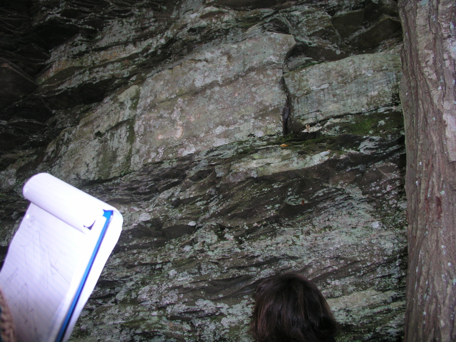 P1010037.JPG