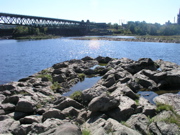 P1010001.JPG