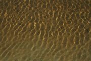 IMG_6763.JPG