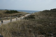 IMG_7398.JPG