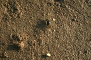 IMG_7416.JPG