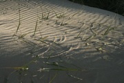 IMG_7422.JPG