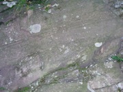 P1010016.JPG