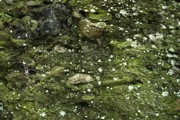 IMG_7514.JPG