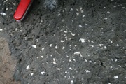 IMG_7318.JPG
