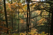 IMG_7329.JPG