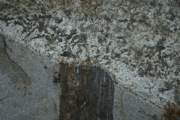 IMG_7071.JPG