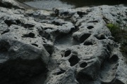 IMG_6990.JPG