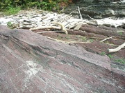 P1010010.JPG