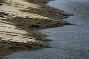 _MG_2827.JPG
