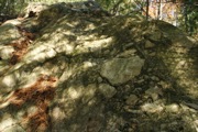 _MG_3923.JPG