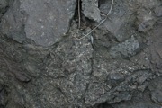 _MG_3778.JPG