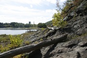 _MG_3268.JPG